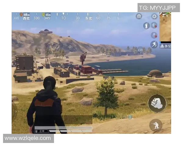 张强专访揭秘和平精英S15赛季成功秘诀与电竞发展趋势