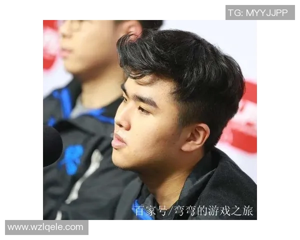 FPX电竞战队的崛起之路与成长历程全景揭秘